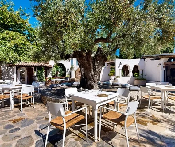 Experience Image - 4